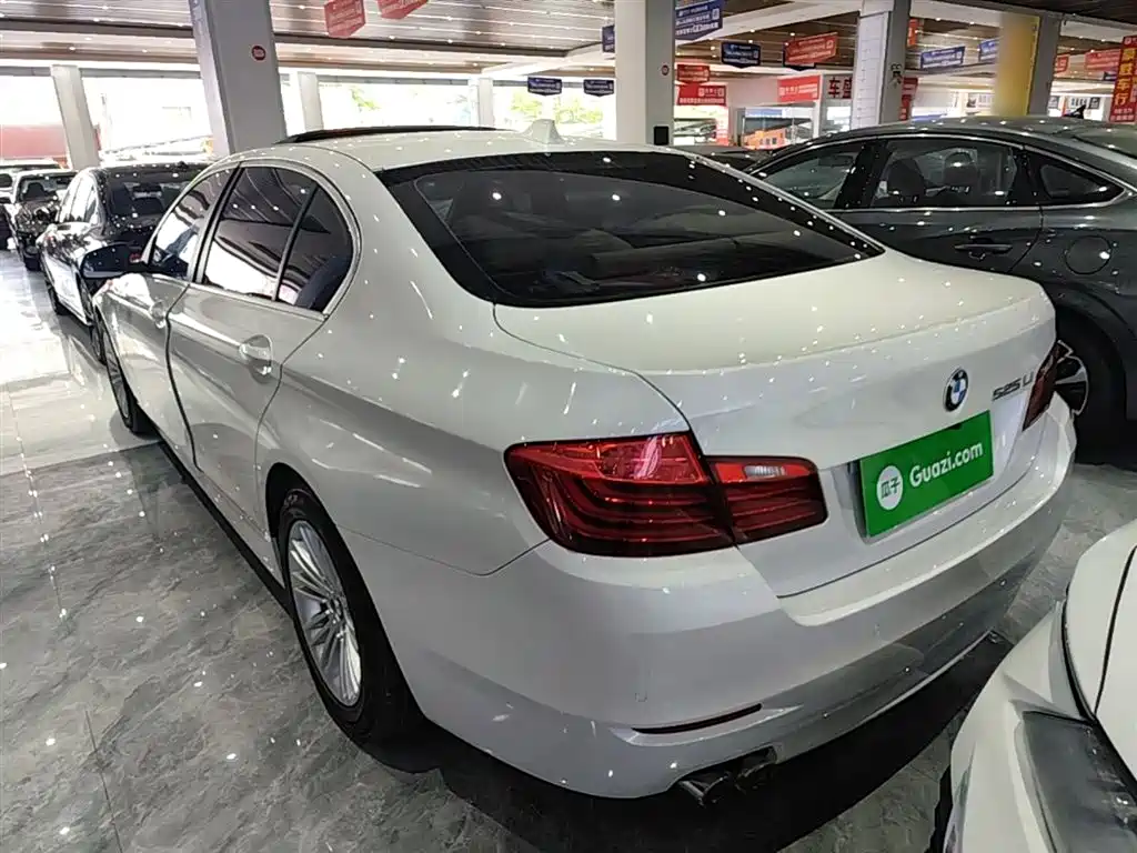 BMW 5 Series 2014 525Li Leading фото 5