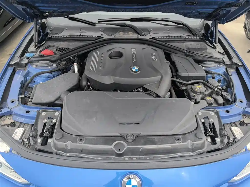 BMW 3 Series 2018 320Li Leading M Sport Package фото 20
