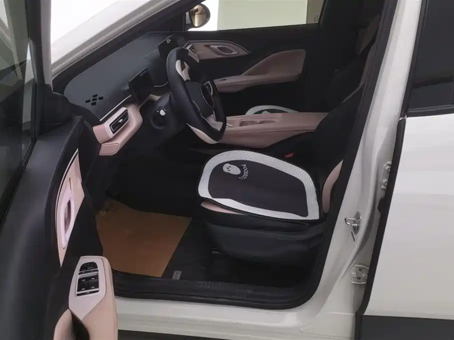 BYD Seagull 2025 Smart Drive Edition 305km Vitality Version фото 9