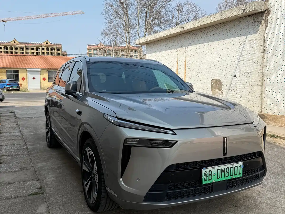 WEI PAI WEI BRAND BLUE MOUNTAIN