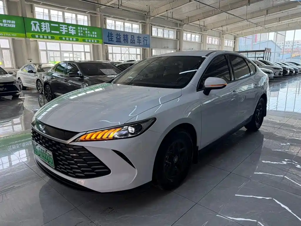 Фото 1 - BYD Qin PLUS