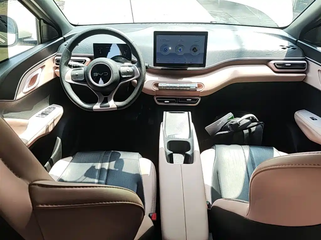 BYD Seagull 2024 Glory Edition 305km Vitality Edition фото 10
