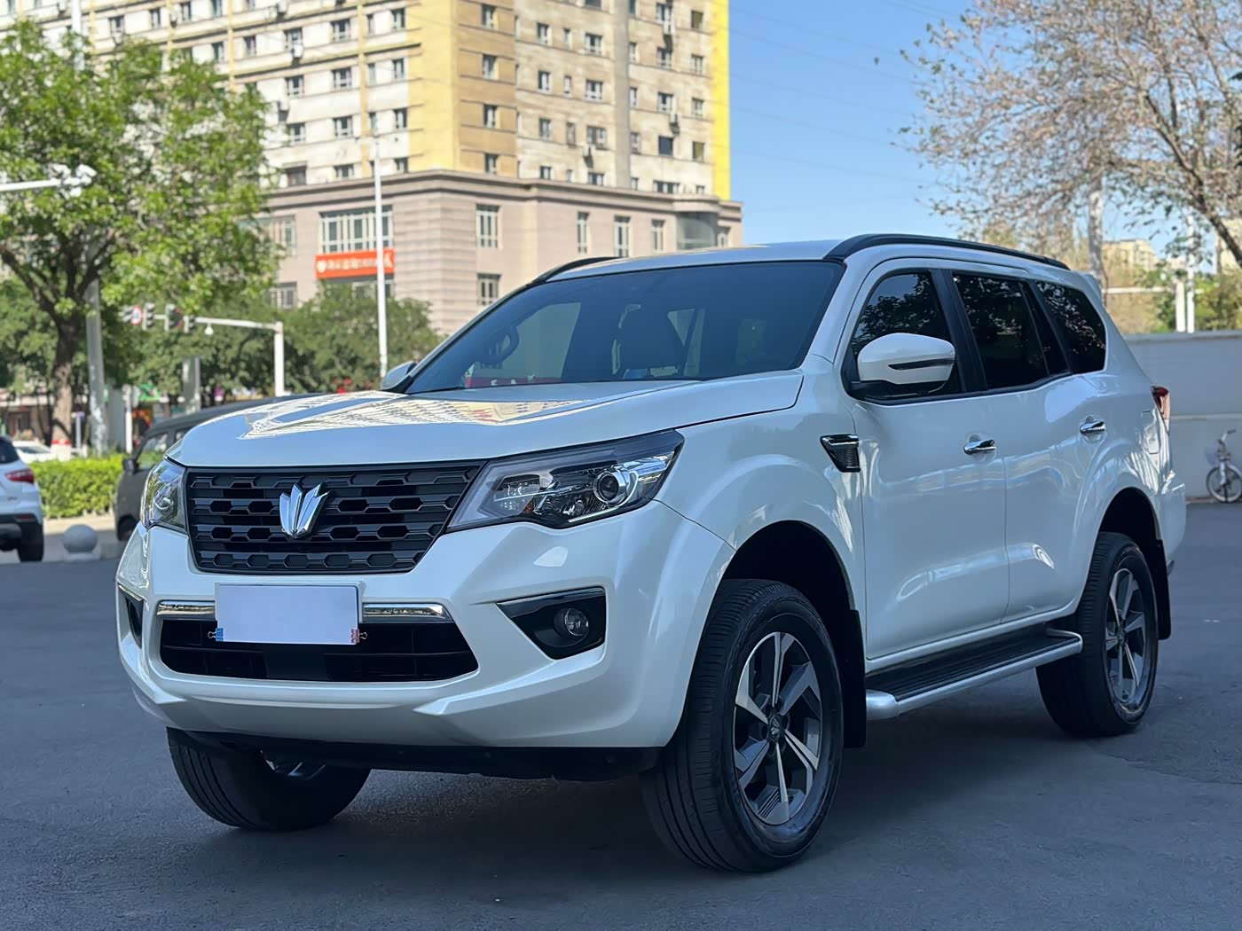 Dongfeng Fengdu Paladin