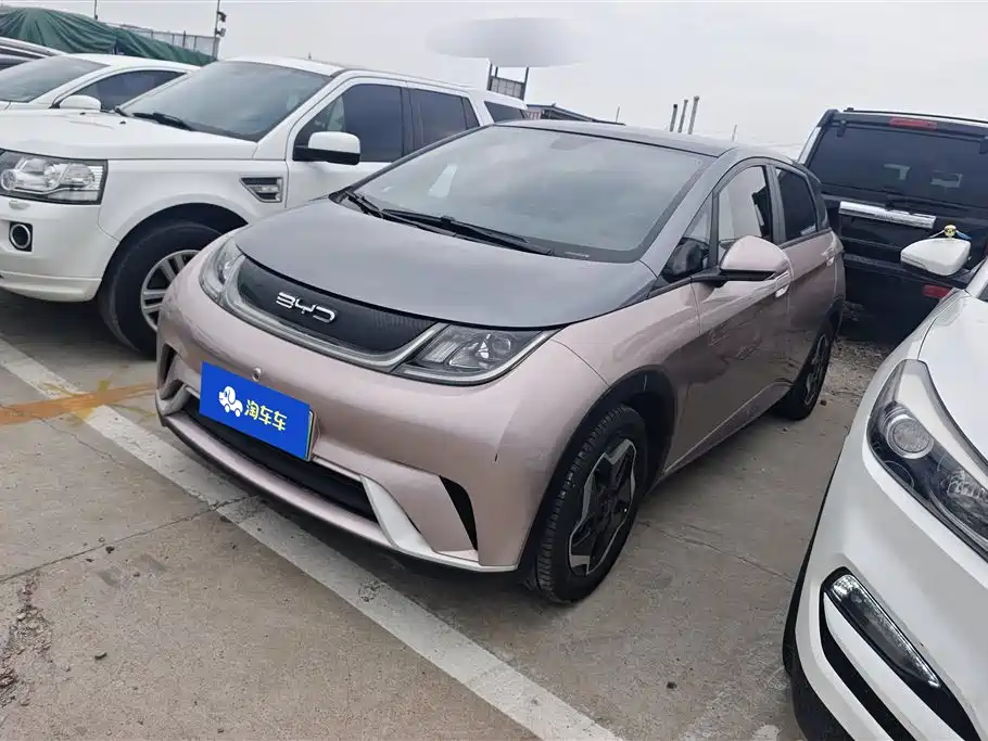 BYD Dolphin 2021 Model 405km Fashion Edition