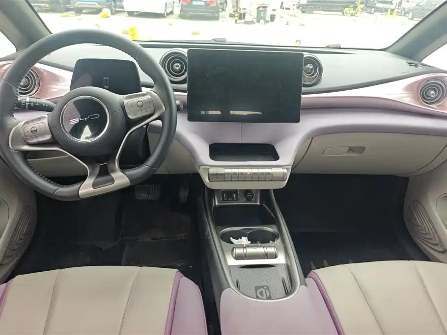 BYD Dolphin 2021 Model 405km Fashion Edition фото 12