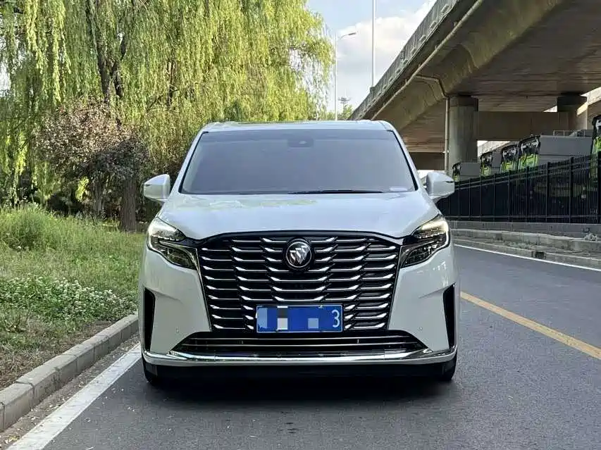Buick GL8 2023 ES Landmaster Luxury фото 2