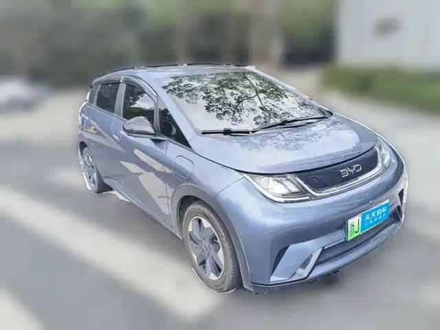 BYD Dolphin 2024 Glory Edition 420km Freedom Edition — фото 3