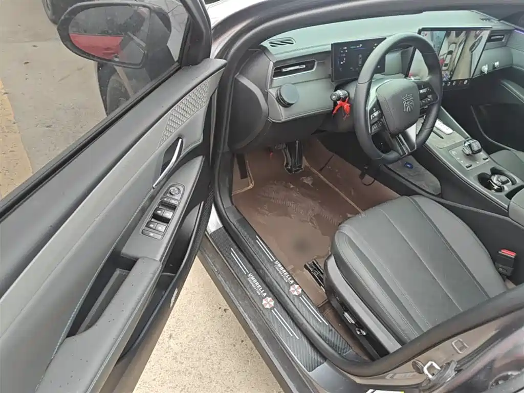 BYD Qin PLUS 2025 DM-i Smart Drive 55KM Leader фото 16