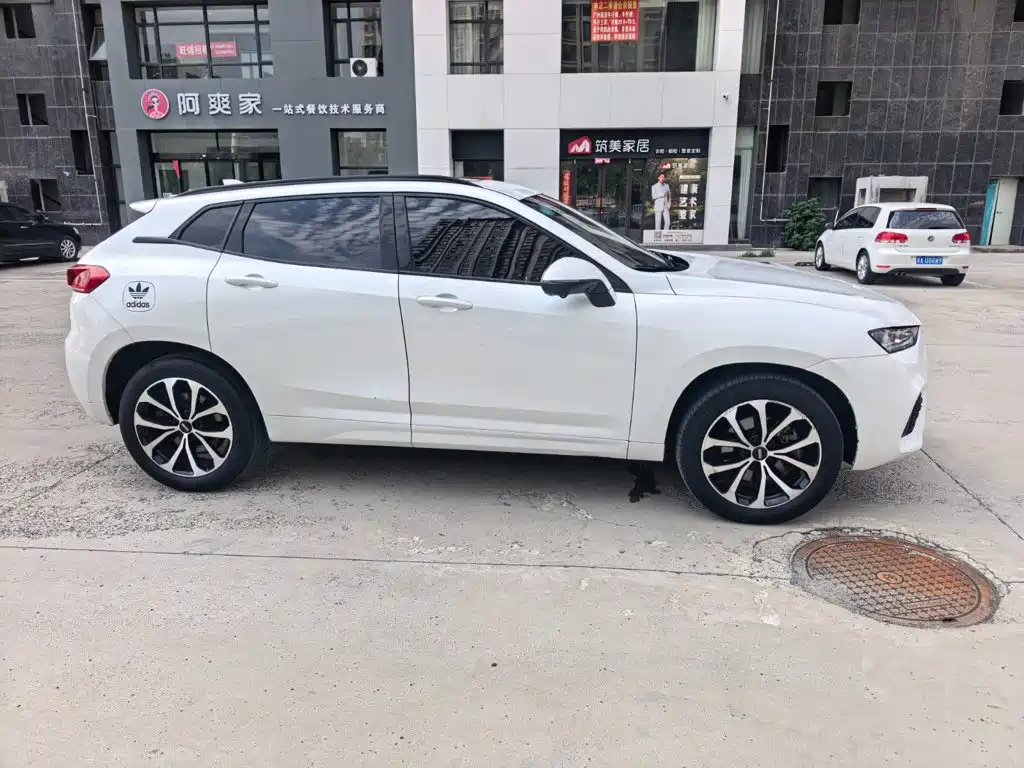 WEY VV7 2020 2019 Upgrade 2.0T Super Deluxe China V