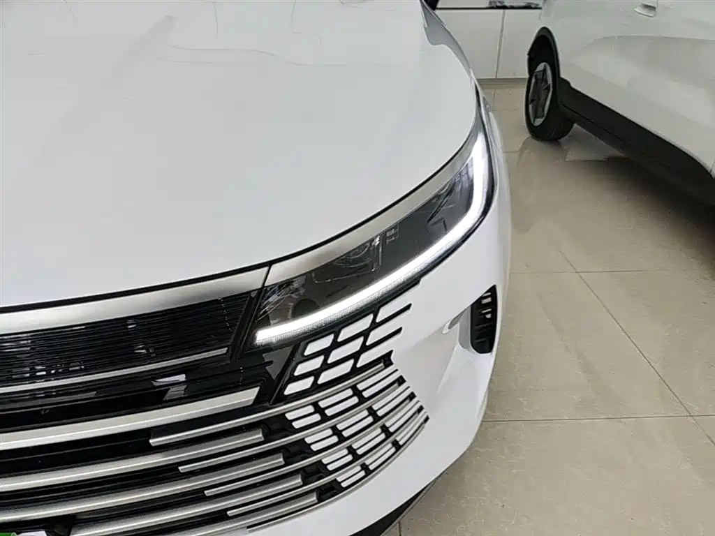 BYD Destroyer 05 2024 Glory Edition DM-i 55KM Luxury фото 24