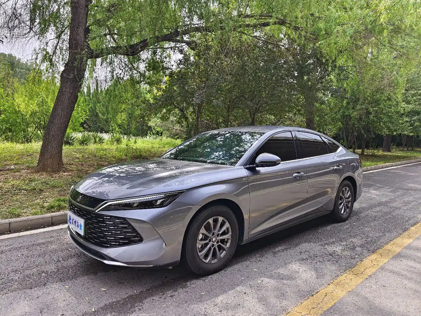BYD Qin L 2024 DM-i 80KM Leading Edition
