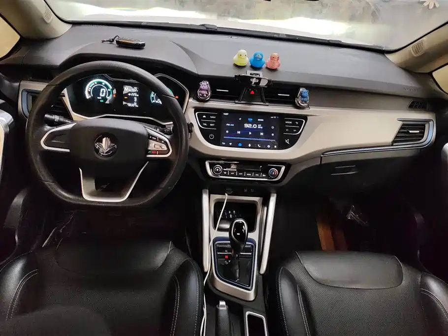 RUILAN AUTOMOBILE MAPLE LEAF 30X