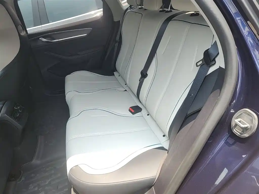 BYD Destroyer 05 2024 Glory Edition DM-i 55KM Luxury фото 17