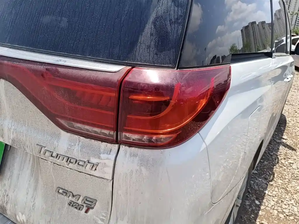 GAC Trumpchi Trumpchi M8 2018 320T Exclusive Edition фото 8