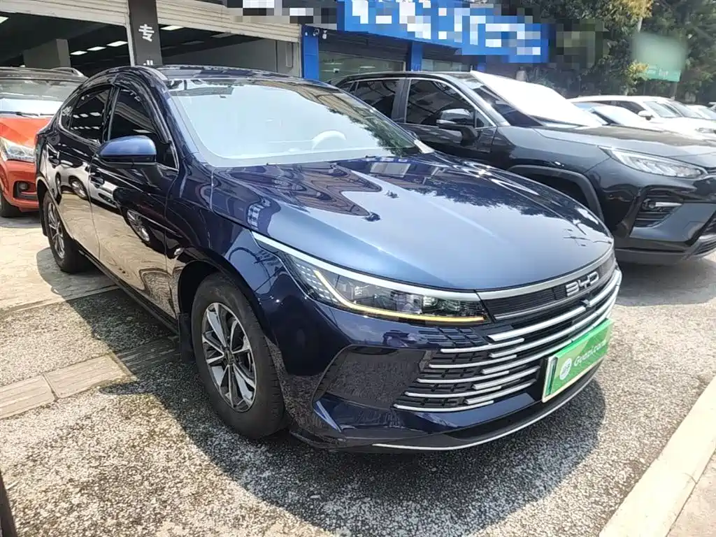 BYD Destroyer 05 2024 Glory Edition DM-i 55KM Luxury фото 4