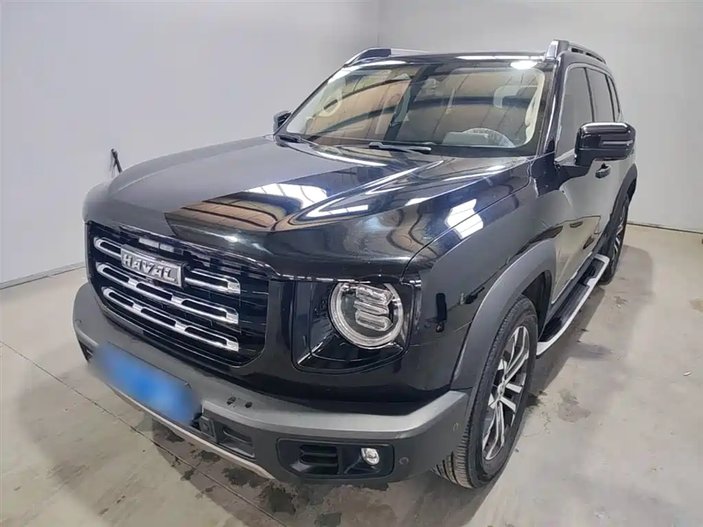 Haval Big Dog 2021 1.5T DCT 2WD Border Collie Edition