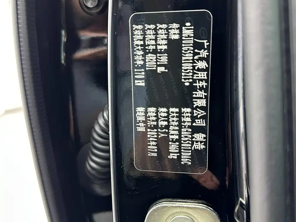 GAC Trumpchi Trumpchi GS8 2025 Pilot Series 2.0TGDI 2WD Luxury Edition 5-seater фото 30