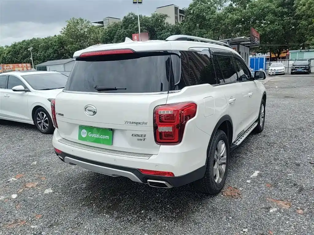 GAC Trumpchi Trumpchi GS8 2017 320T 2WD Luxury Edition (7-Seater) фото 7