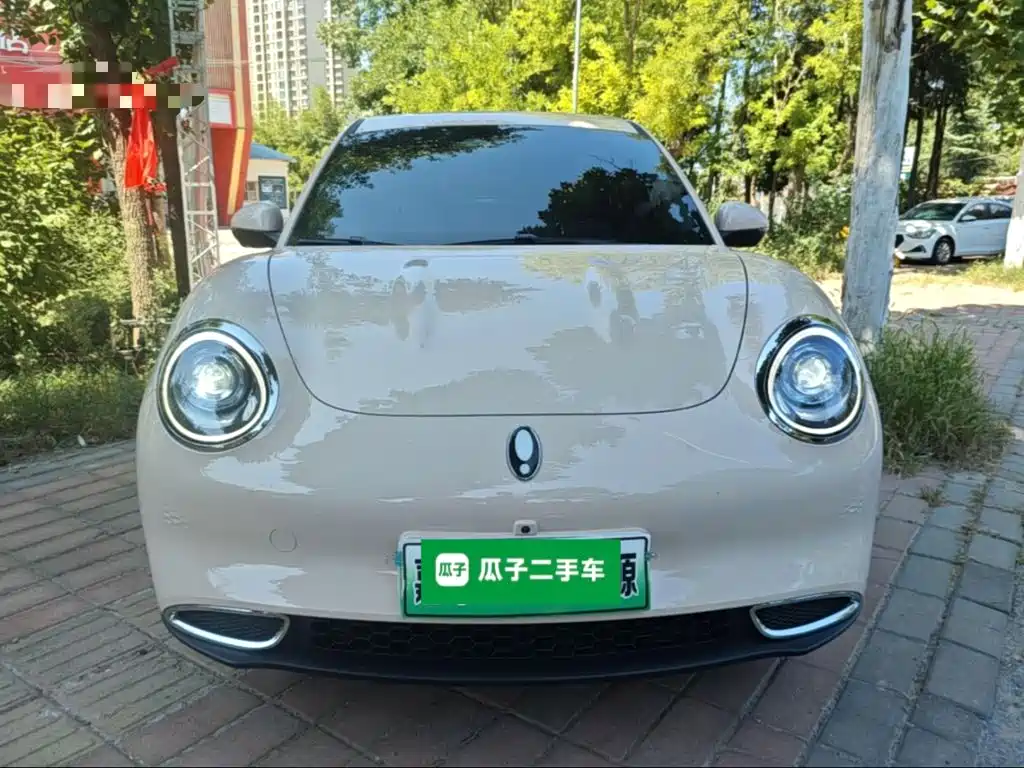 Ora Good Cat 2025 2024 501km Luxury