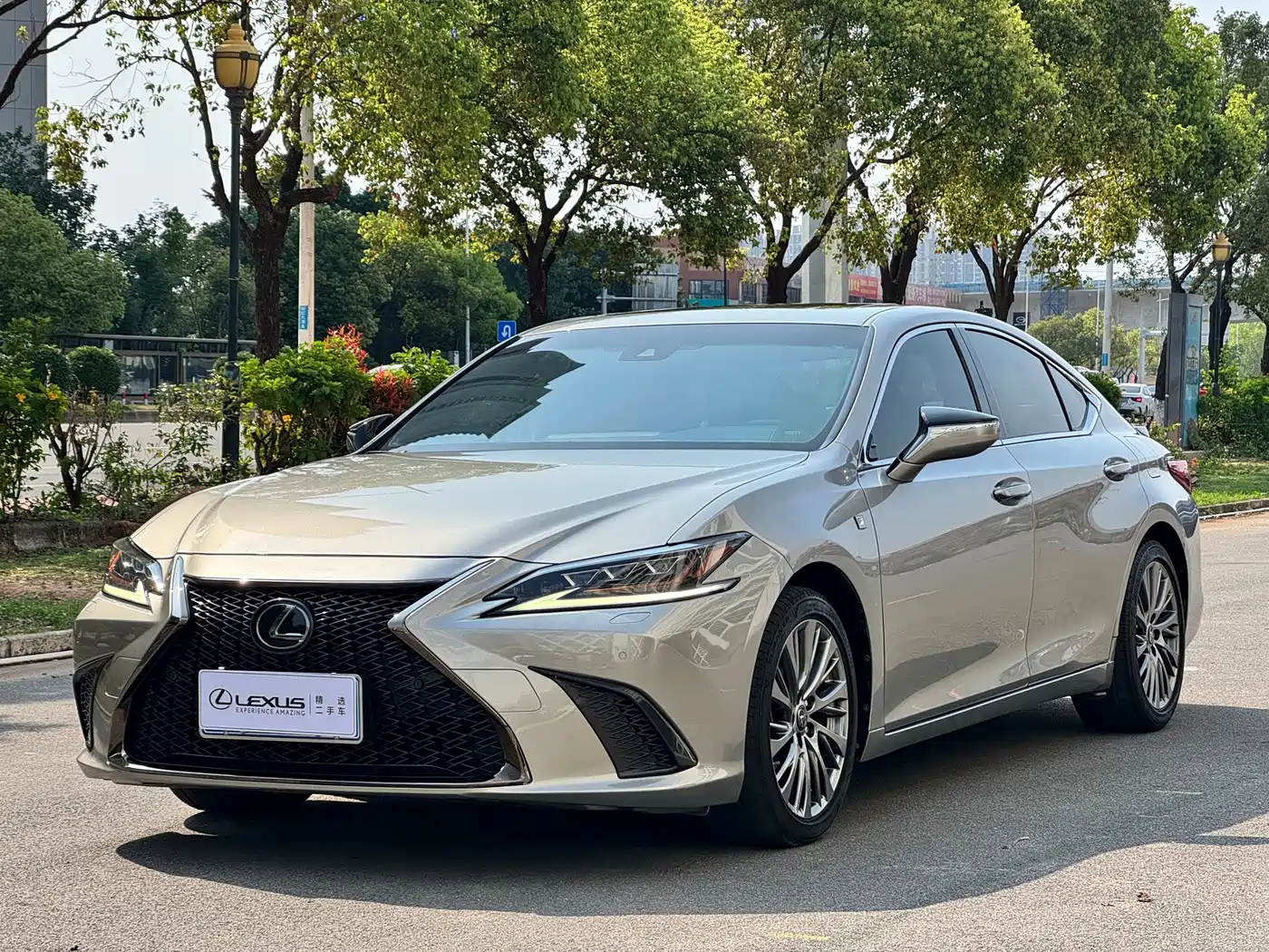 Фото 1 - Lexus ES