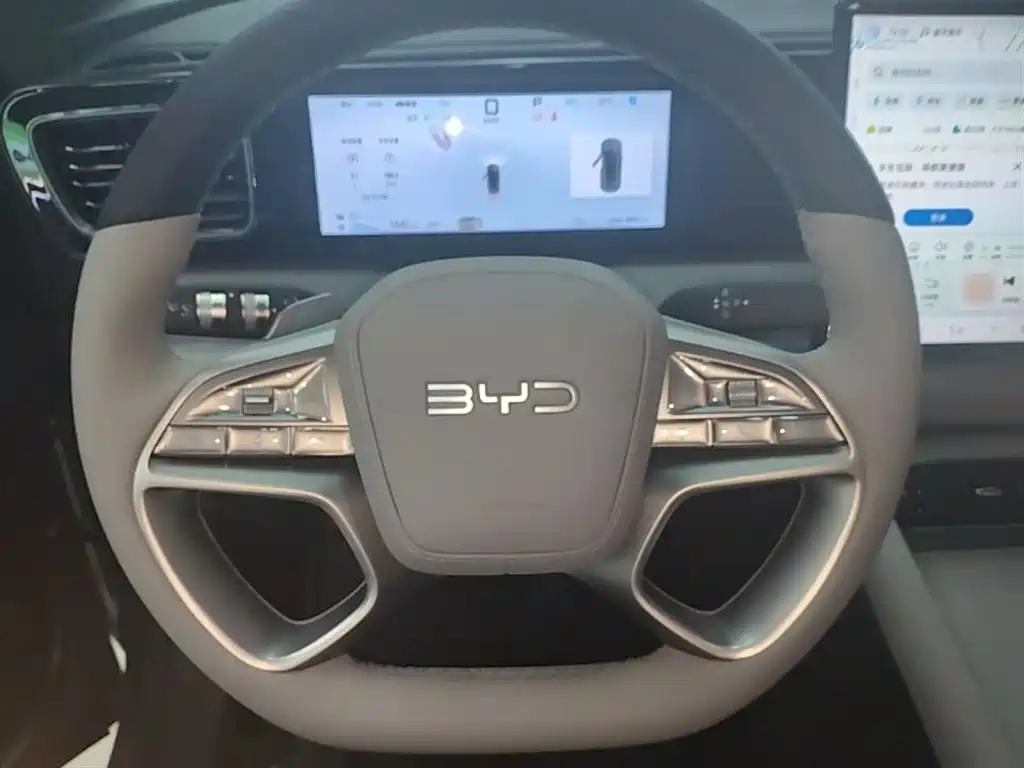 BYD Sealion 06 New Energy 2025 DM-i 170 Pilot Pro Edition фото 11