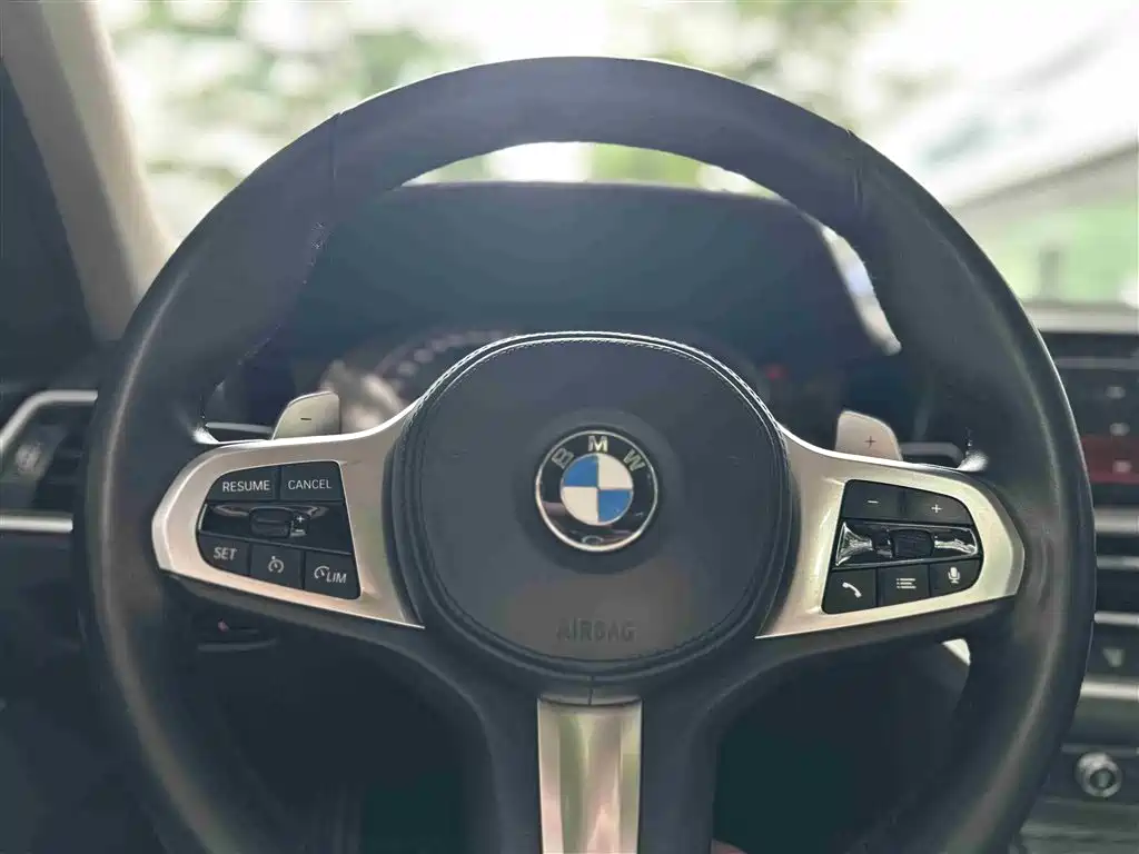 BMW 3 Series 2020 325Li M Sport Black Night Package фото 13