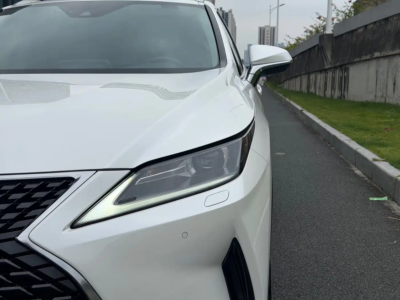 Фото 4 - Lexus RX