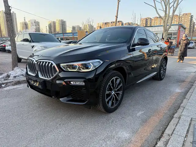 BMW X6 2020 xDrive40i M Sport Package