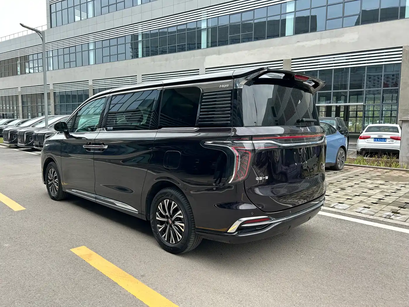 Hongqi HQ9 PHEV 2024 Model 2.0T AWD Business Edition фото 5