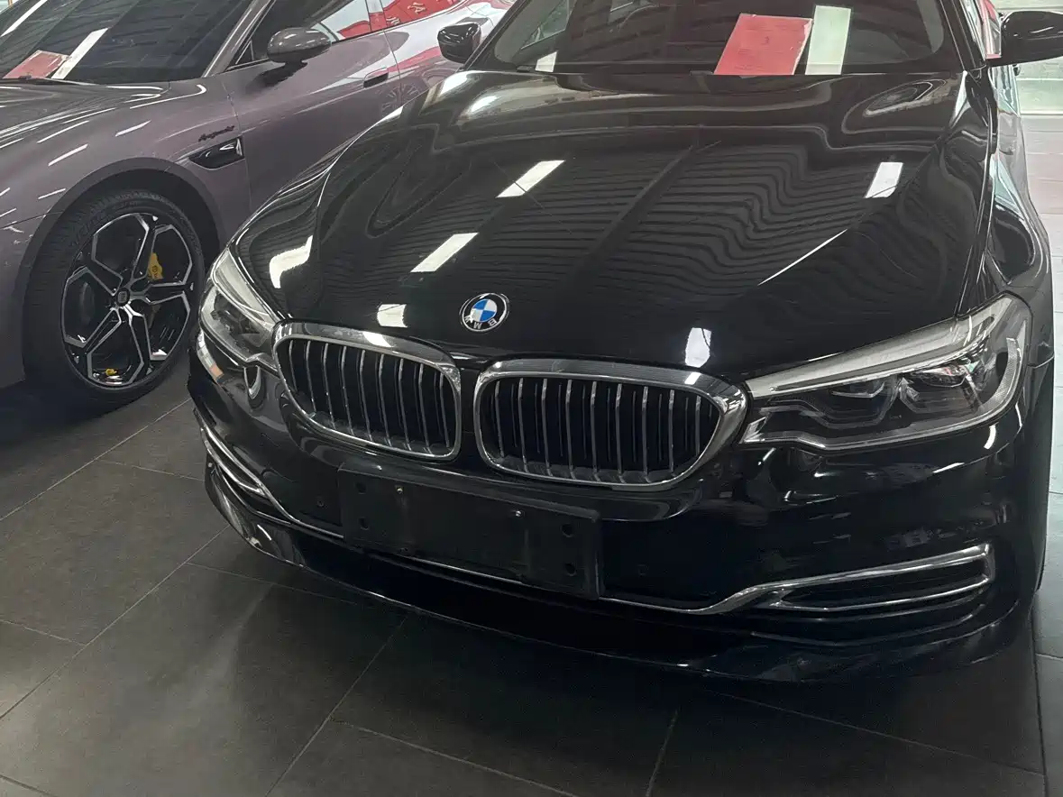 BMW 5 Series New Energy 2019 Facelift 530Le Luxury Package фото 12