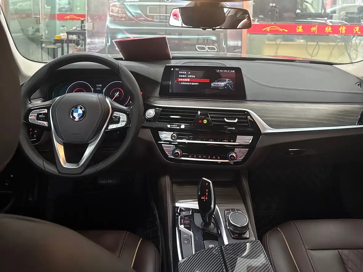 BMW 5 Series New Energy 2019 Facelift 530Le Luxury Package фото 19