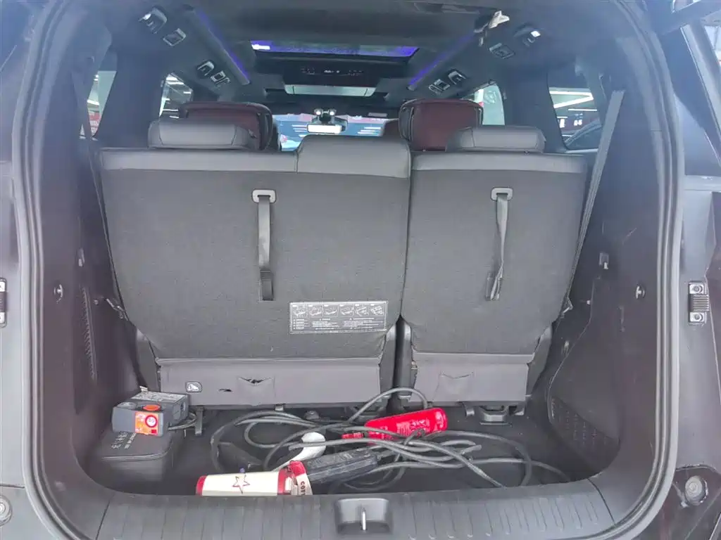 GAC Trumpchi Trumpchi E9 2023 E9 MAX фото 19