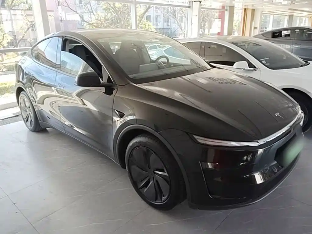 Фото 4 - Tesla Model Y