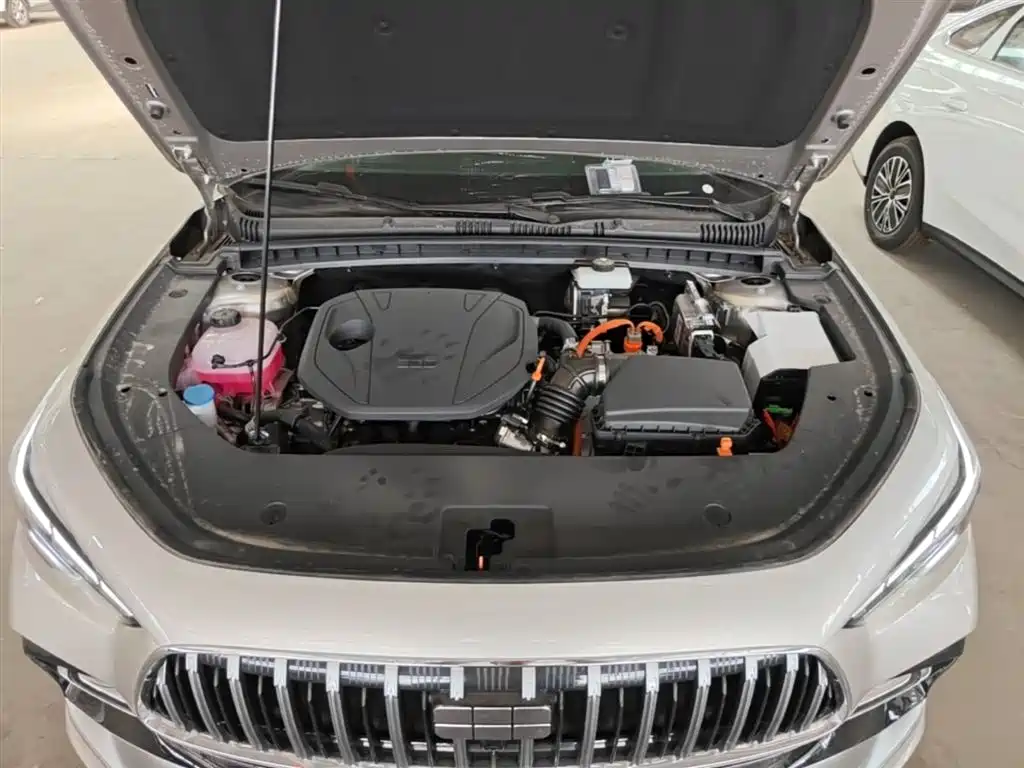 Geely Galaxy Galaxy Stellar 6 2025 Model 125km Free Edition фото 20