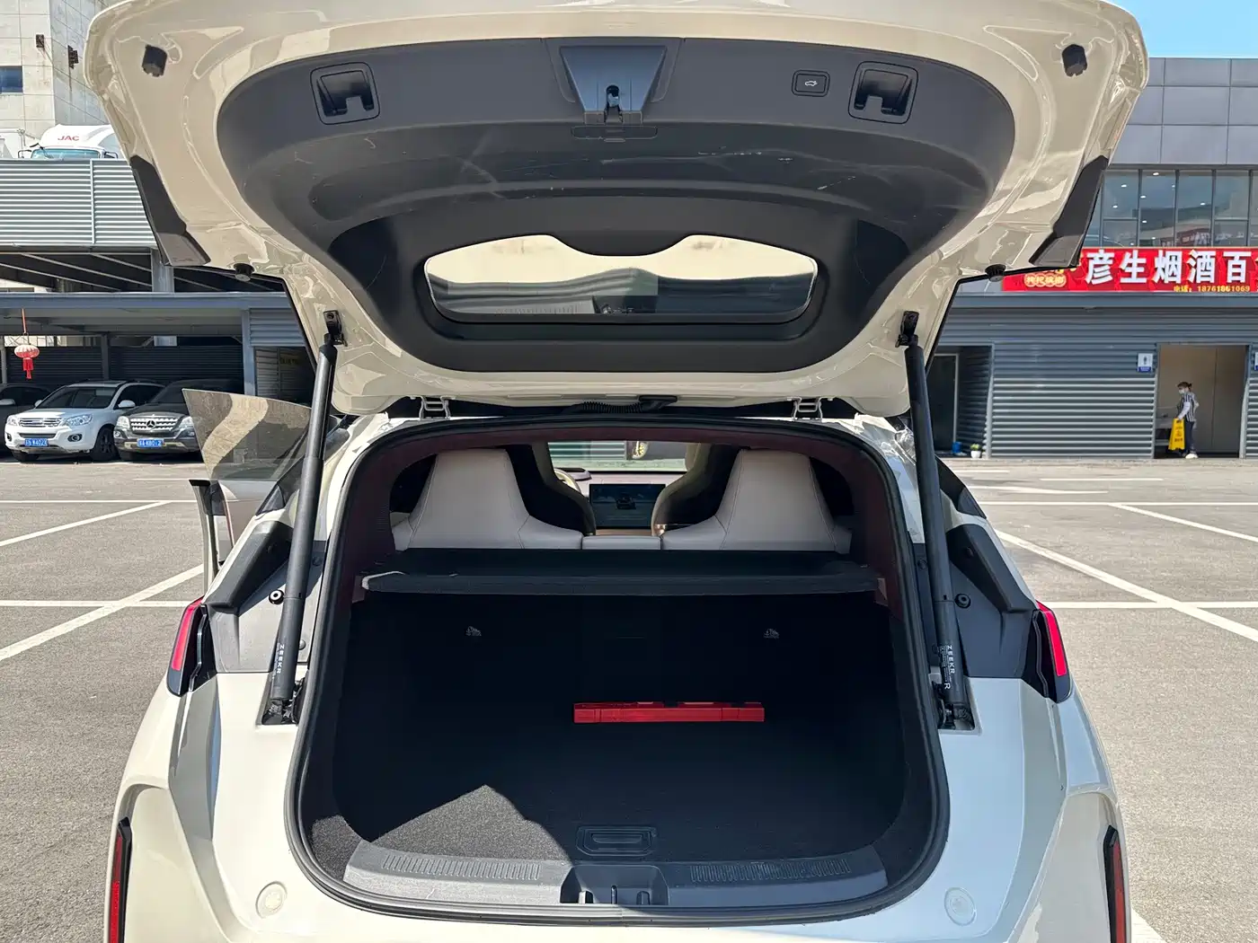 ZEEKR X 2023 2023 AWD YOU Edition 4-Seater