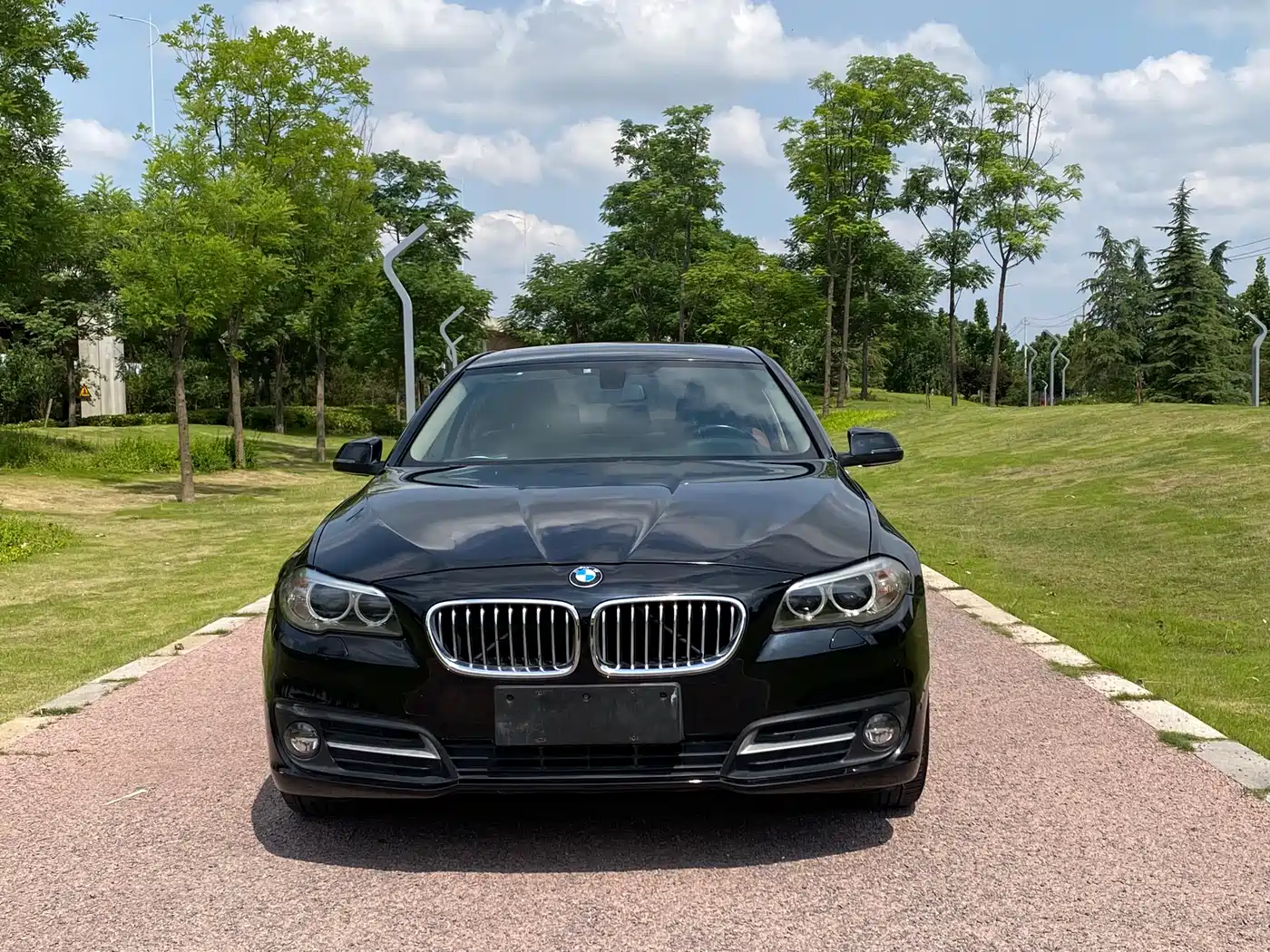 BMW 5 Series 2014 520Li Elegance фото 2