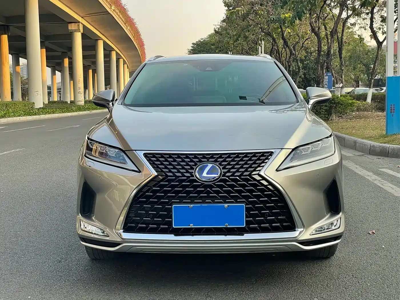 LEXUS RX