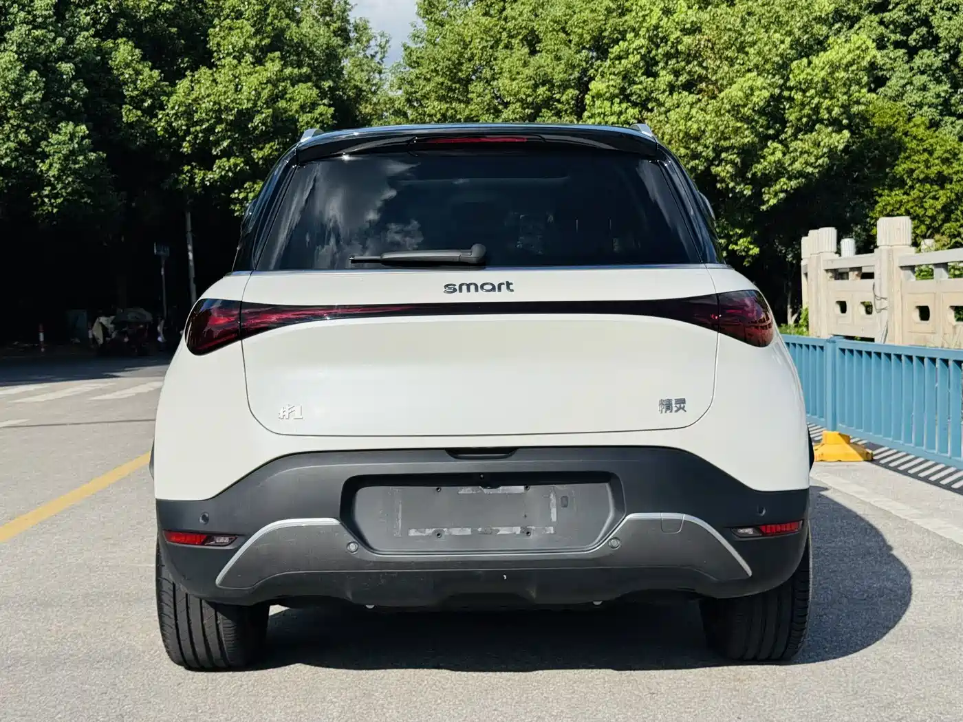 smart Elf #1 2026 2026 Agile New Luxury Edition
