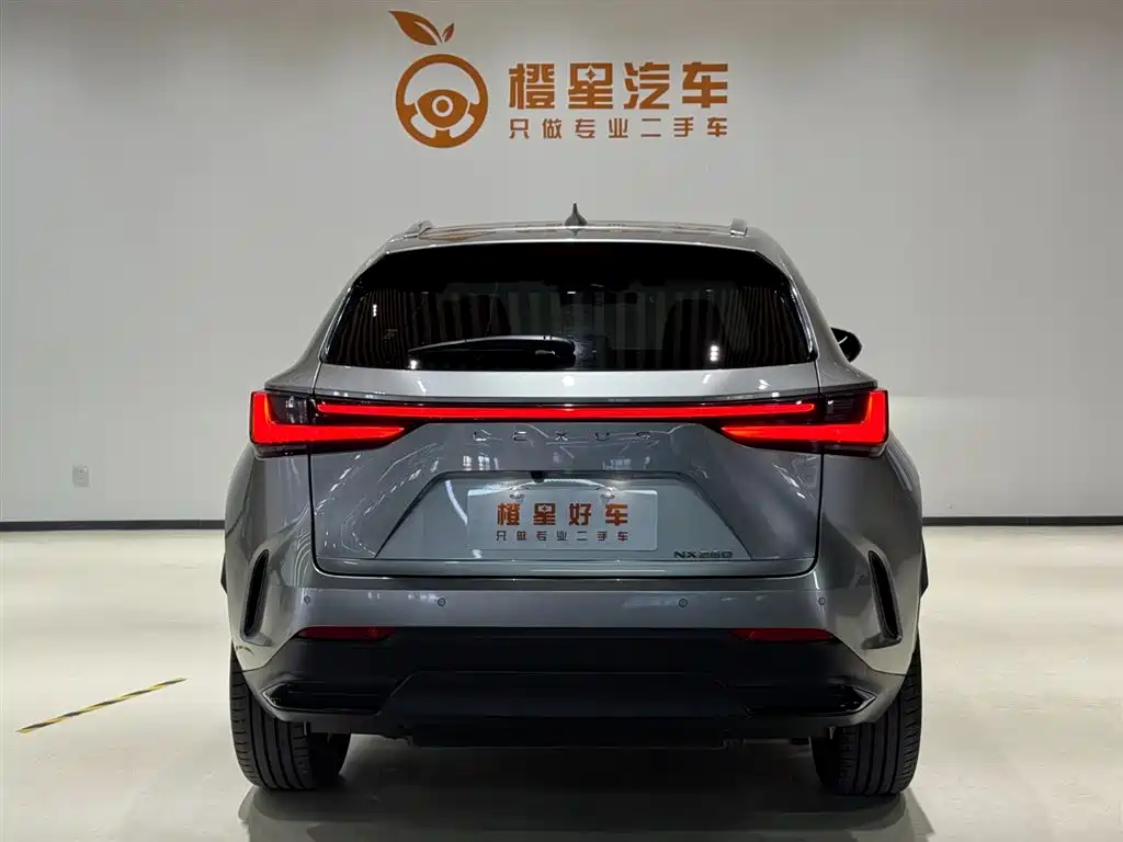 Фото 5 - Lexus NX