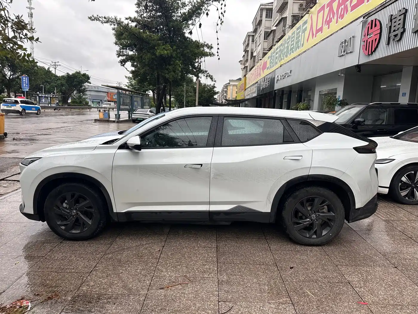 Dongfeng Aeolus SKY EV01 2024 2024 445km PRO