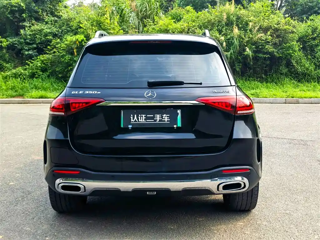 MERCEDES-BENZ GLE NEW ENERGY