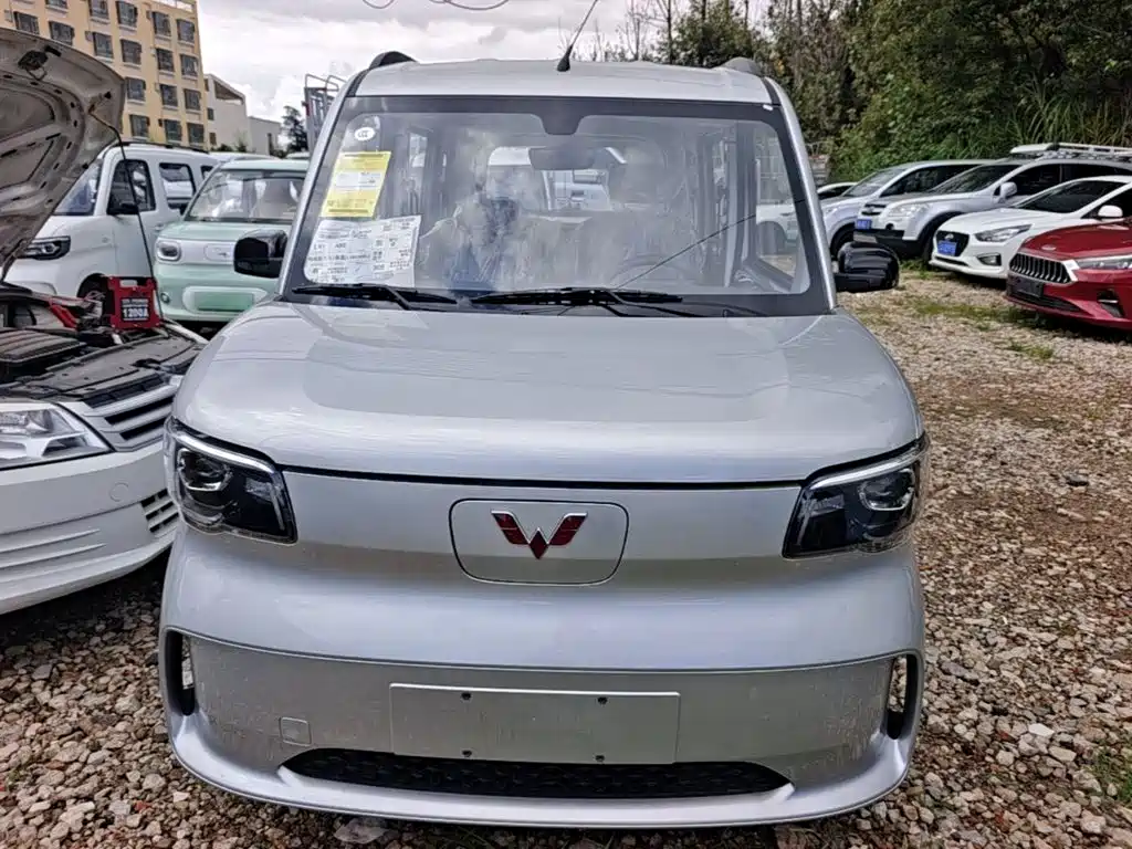 Wuling Motors Wuling Zhiguang NEV 2026 2025 Model 305km Base Version