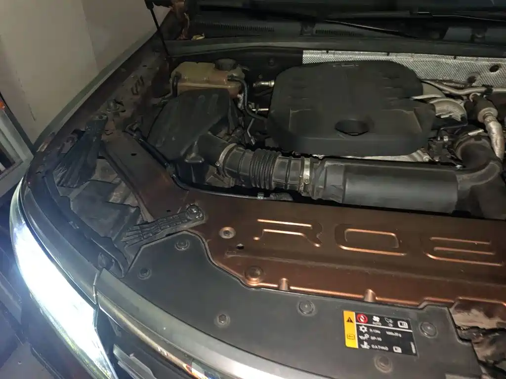 Roewe RX8 2019 2018 30T Smart Internet 2WD Flagship Edition
