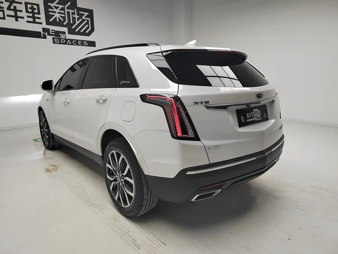 Cadillac XT5 2024 2.0T AWD Luxury (Hummingbird Edition) фото 6