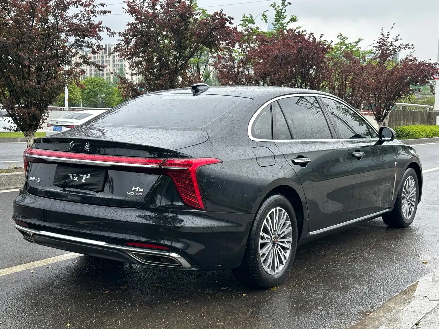 Hongqi H5 2023 2.0T Auto Smart Connect Flagship фото 6