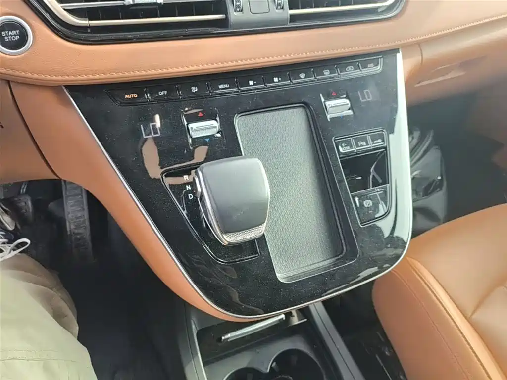 Hongqi HQ9 PHEV 2024 Model 2.0T AWD Business Edition фото 14