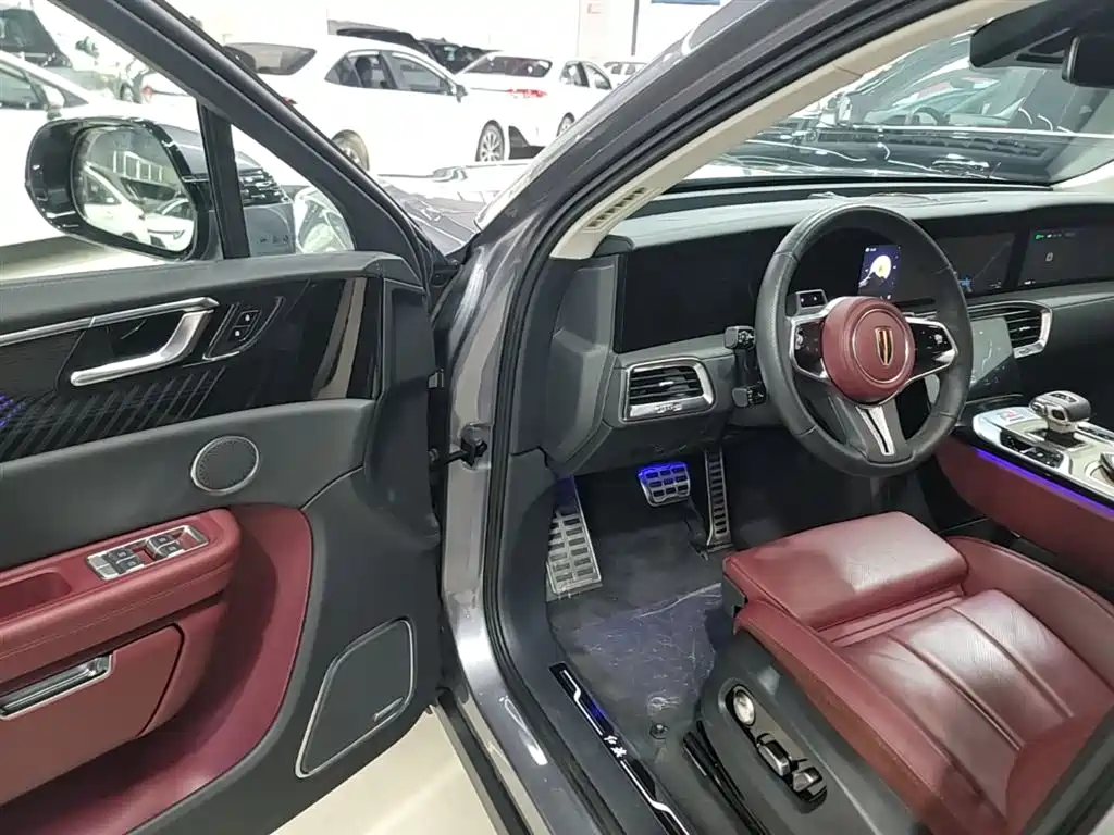 Hongqi E-HS9 2022 660km Qi Chang Edition (6-seater) фото 16
