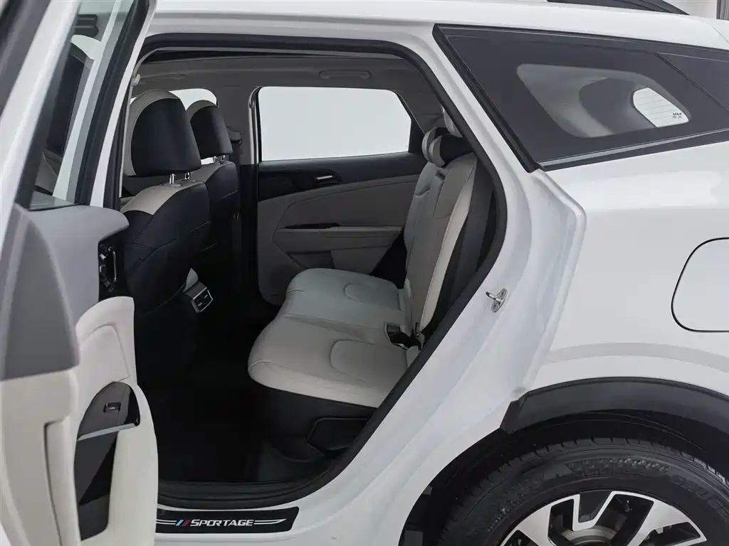 KIA LION PLATINUM EXPANDS THE WORLD