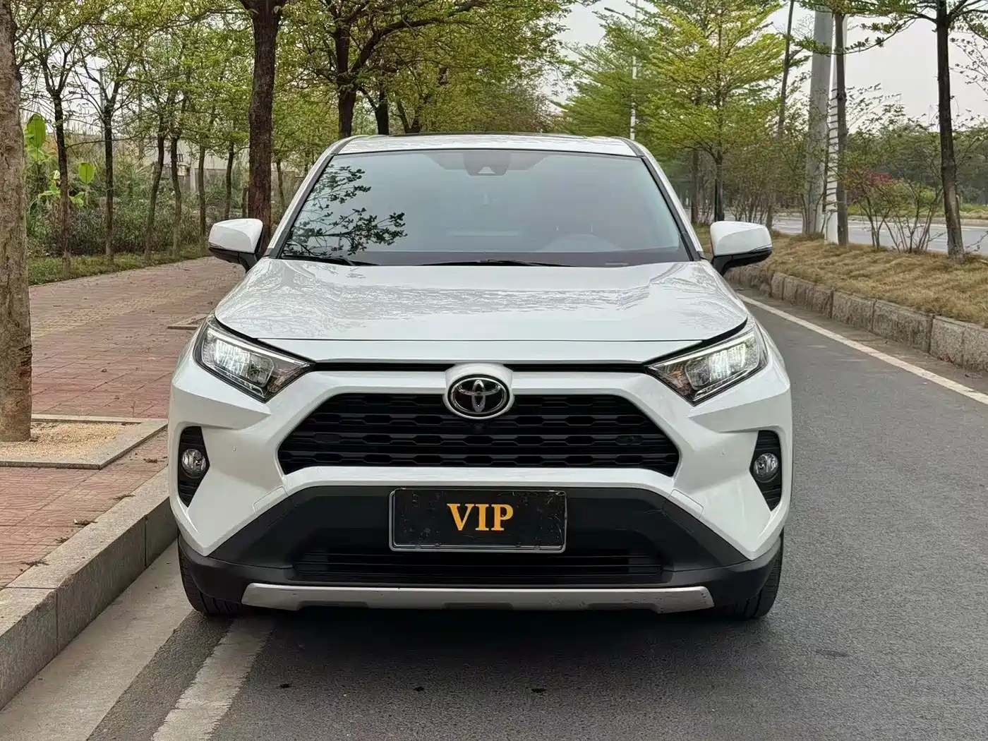 Toyota RAV4 Rongfang 2023 2.0L CVT FWD Style Plus Edition фото 2