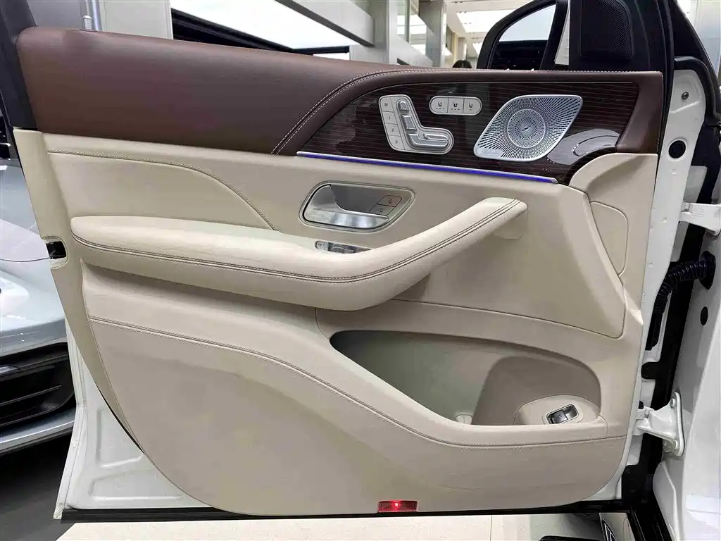 Mercedes-Benz Maybach GLS 2021 GLS 480 4MATIC фото 16